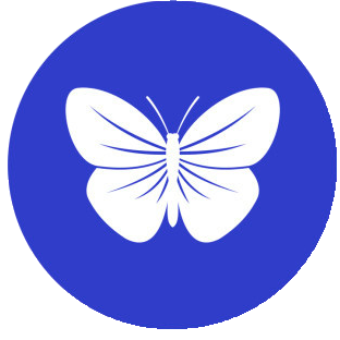 博客文章提取器